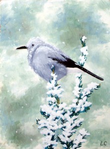 snowbird